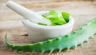 Aloe para eliminar os parásitos do corpo