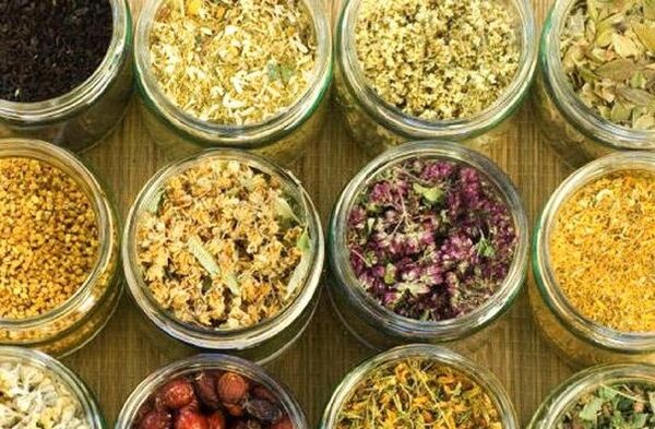 limpar o corpo de parasitos usando remedios populares